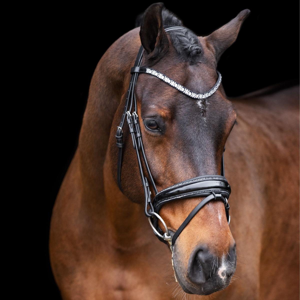 product/i/m/imperial-riding_ho40323005-9545_0.jpg