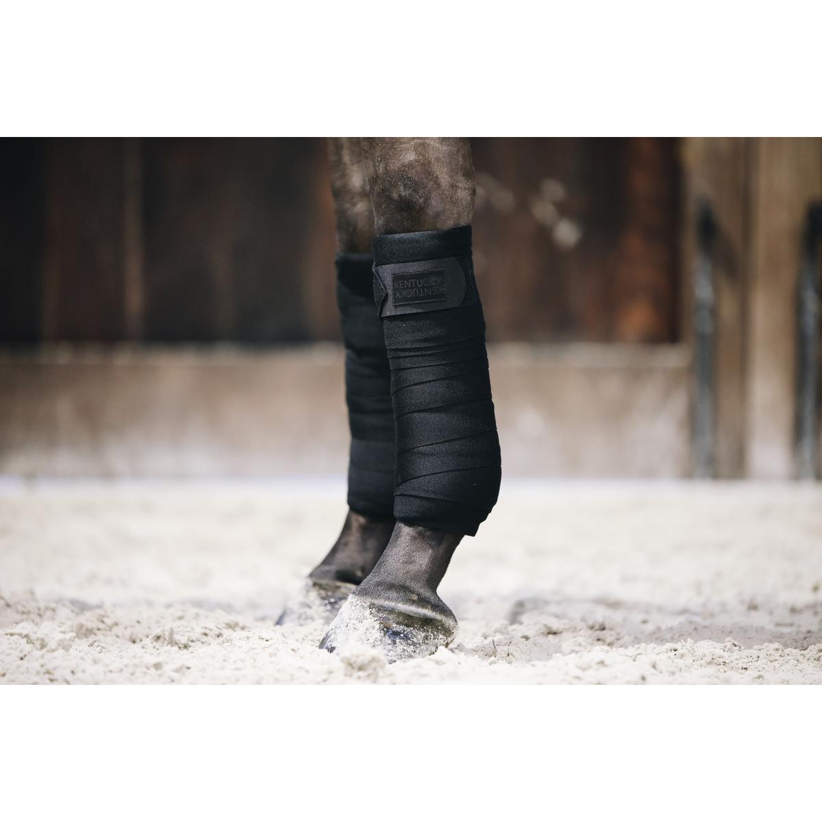 product/k/e/kentucky_42110-01-f_2.jpg