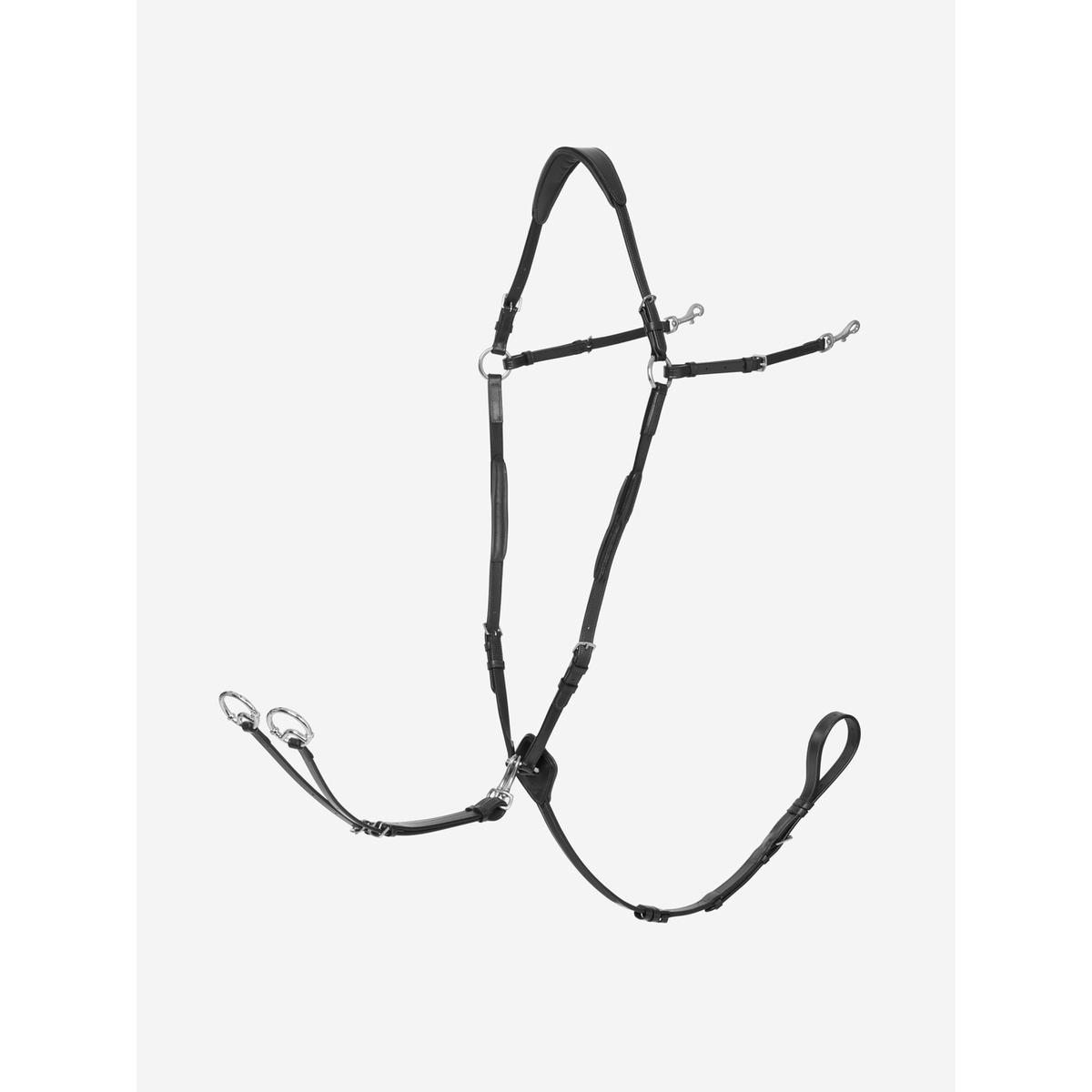 product/l/e/lemieux_it02633_1.jpg