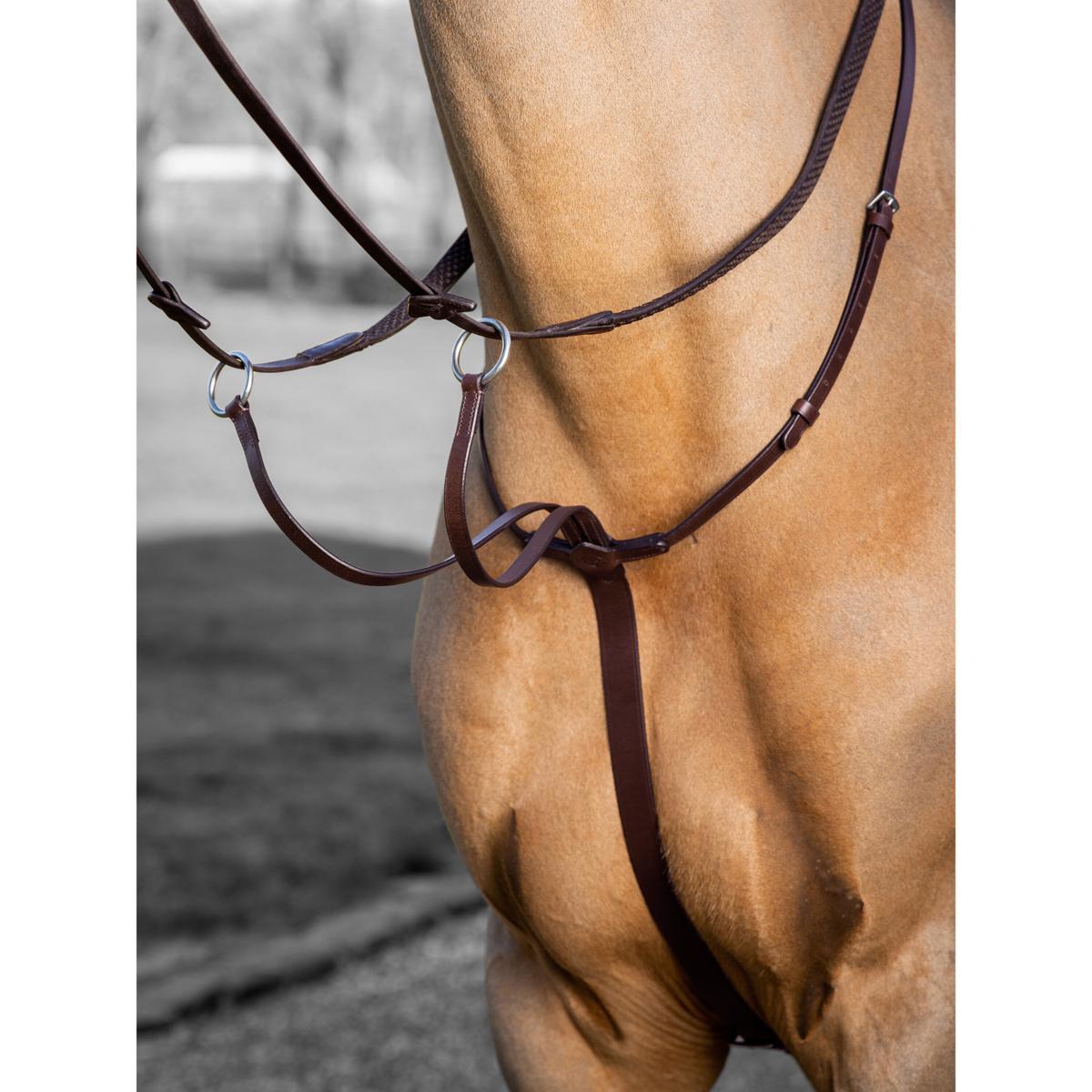 product/l/e/lemieux_it03726.jpg