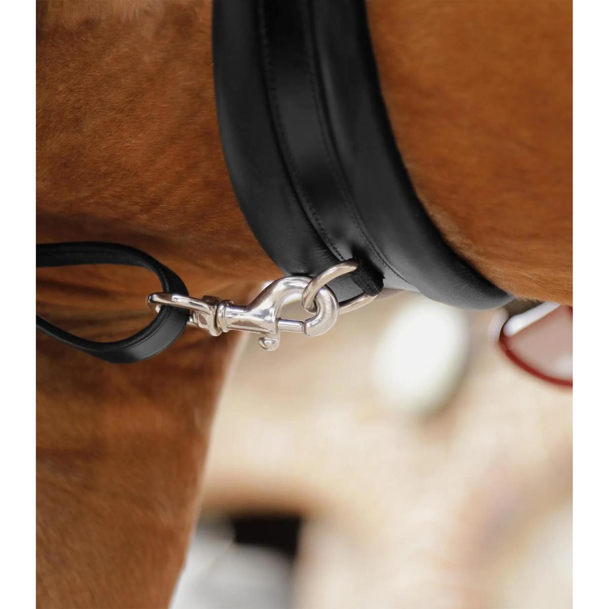 product/p/r/premier-equine_8035-cblk_3.jpg