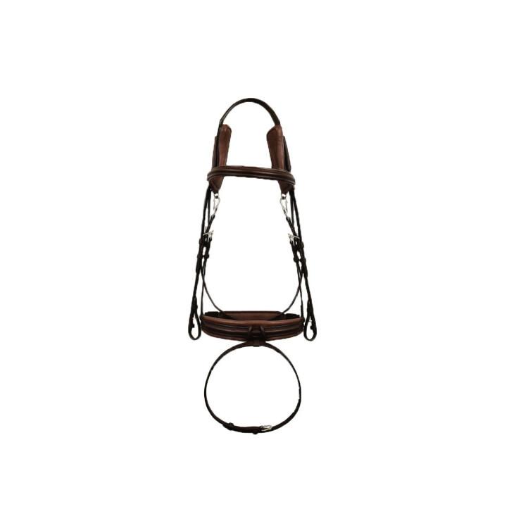 product/s/i/silver-crown_scb01cn_australian-nut_1.jpg