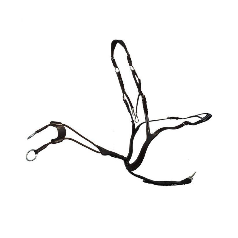 product/k/a/kavalkade_0169041250200_2.jpg