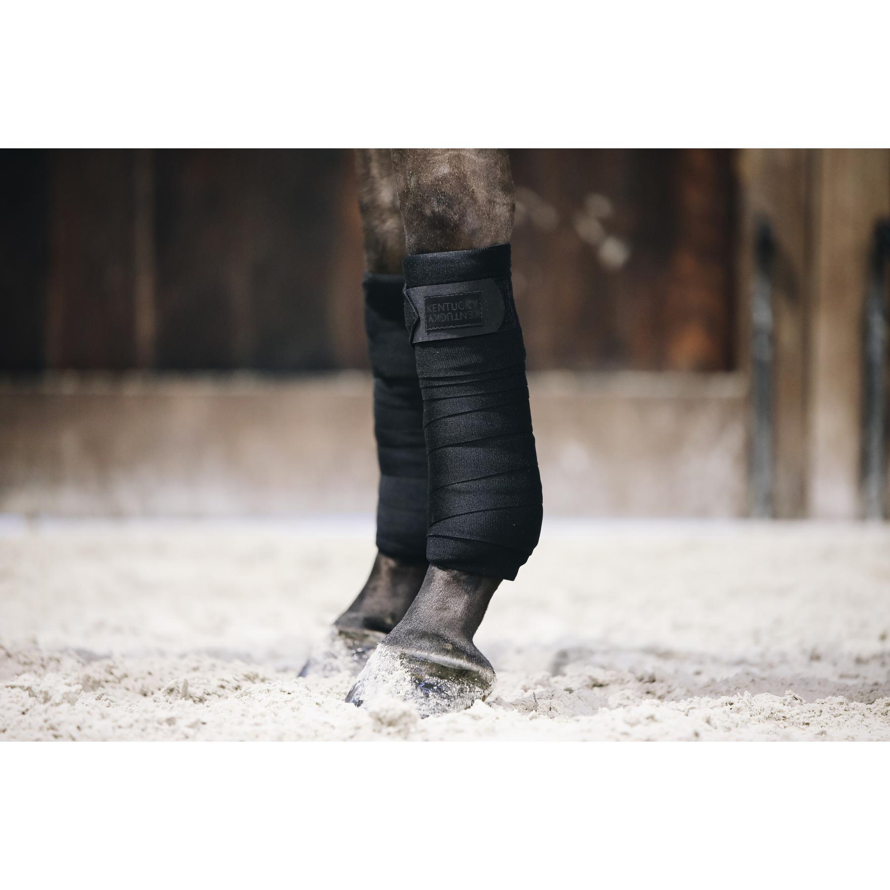 product/k/e/kentucky_42110-01-f_2.jpg