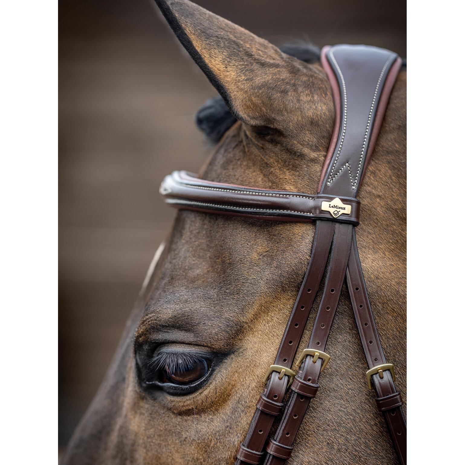 product/l/e/lemieux_it02645_3.jpg