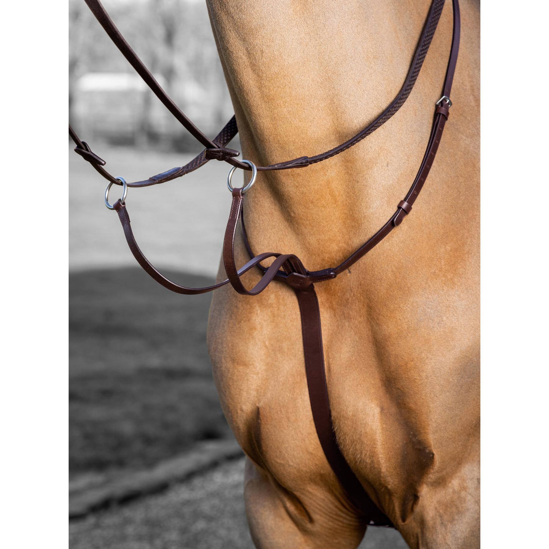 product/l/e/lemieux_it03726.jpg