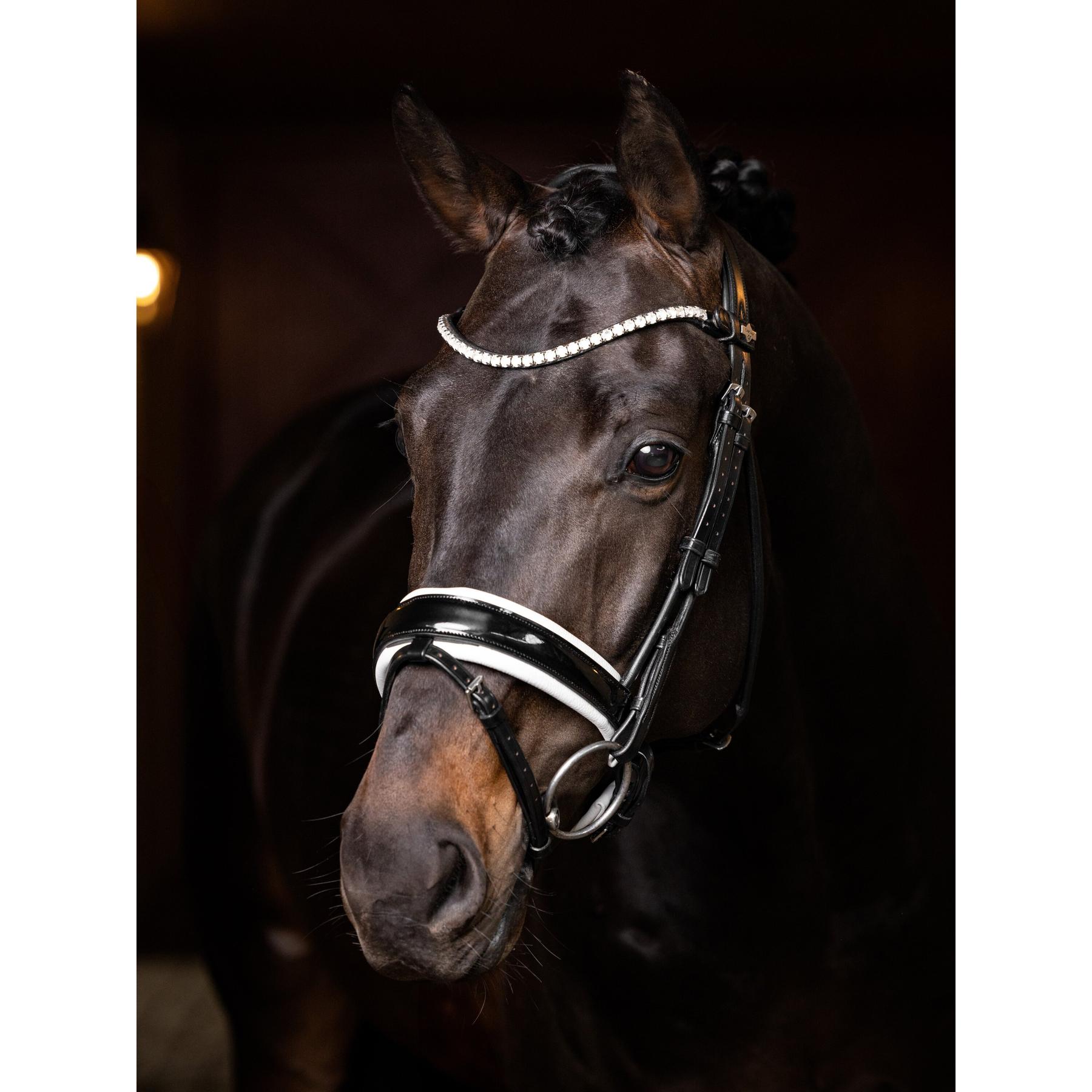 product/l/e/lemieux_it05966007_noir_2.jpg