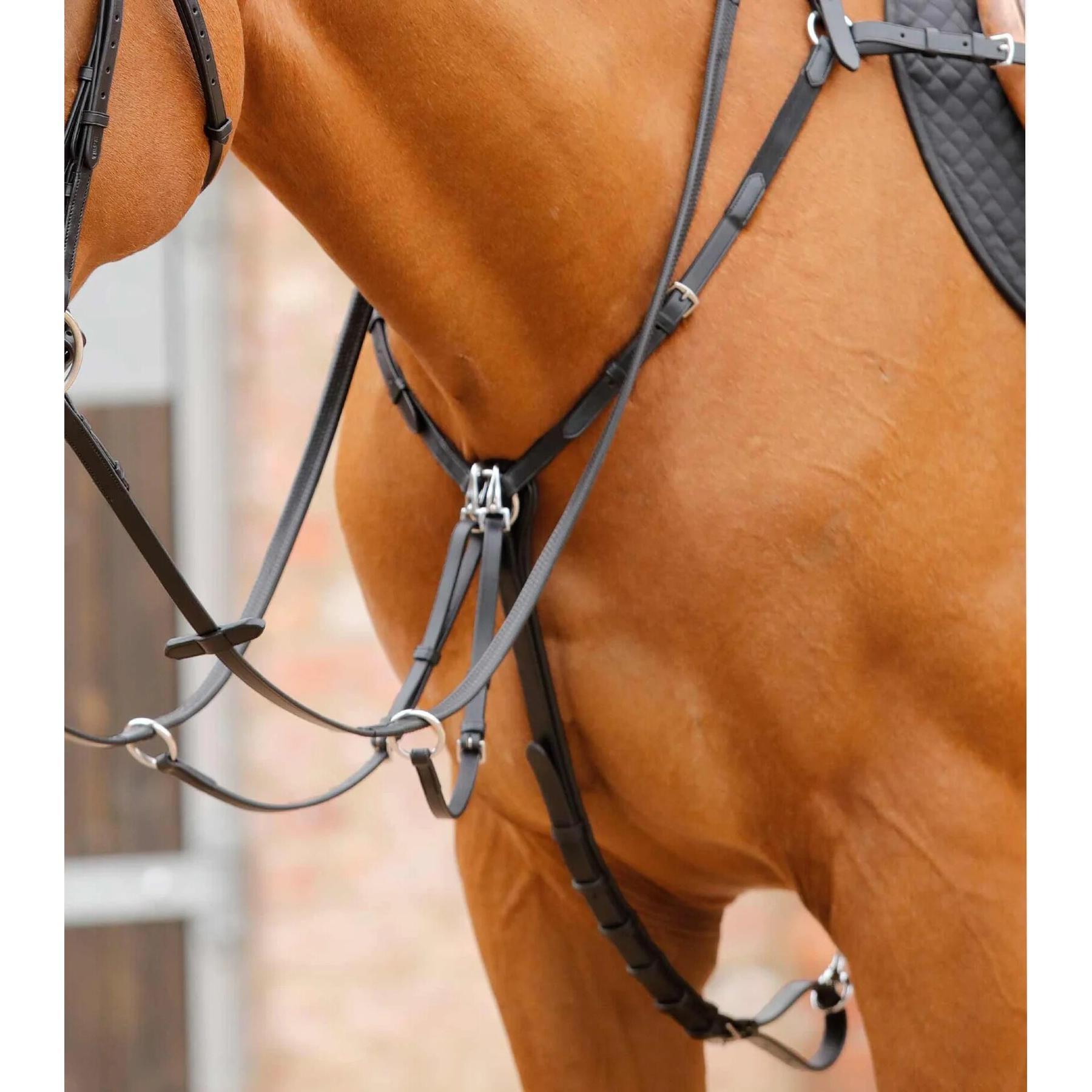 product/p/r/premier-equine_8035-cblk_1.jpg