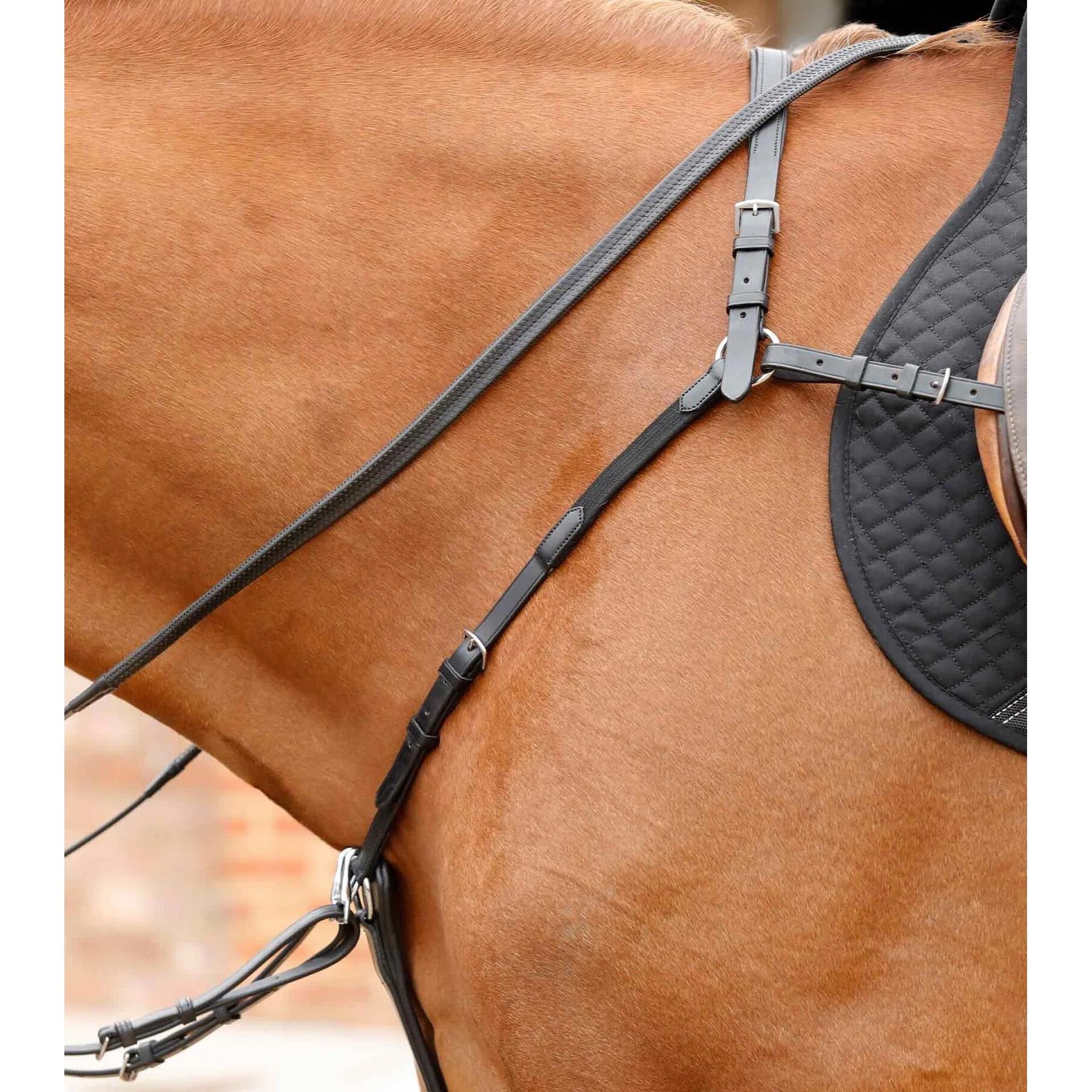 product/p/r/premier-equine_8035-cblk_2.jpg