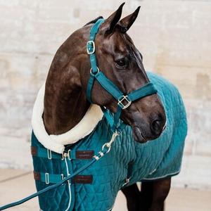 Horse Halter & Lead-Rope Set