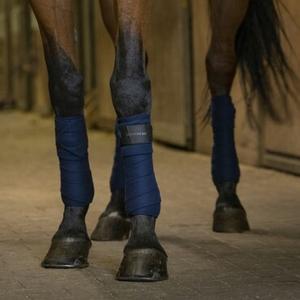 Polo Strips