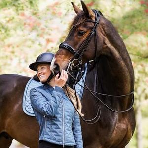 Horse Reins