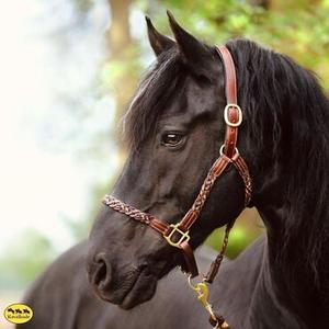Leather Halter
