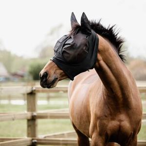 Anti-Fly Masks