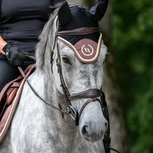 Horse Blankets