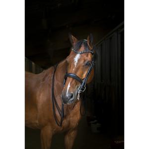 303045202-halter-for-horse-eric-thomas-hybrid-black-one-size