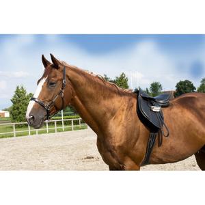 307500102-halter-for-horse-for-pony-leather-grooming-eric-thomas-pro-black-black-lined-one-size
