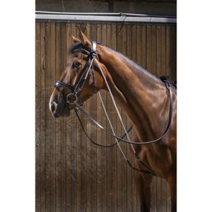 307670002-chambon-eric-thomas-pro-black-one-size