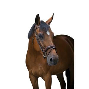 307701318-bridles-for-horses-eric-thomas-pro-wave-havana-horse