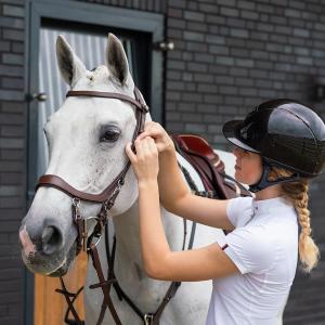 p700-br-riding-bridles-presteq-faysport-marrron