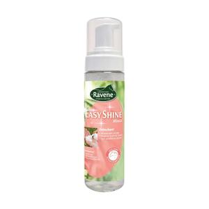 718013-stain-remover-foam-ravene-easy-shine-transparent-200-ml