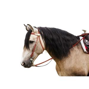 802061017-bridles-for-horses-randol-s-two-tone-hazelnut-natural-horse