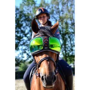 evysor5-equine-uv-goggles-equick-evysor-green-one-size