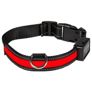 ngcollum01-rechargeable-luminous-dog-collar-usb-eyenimal-red-null