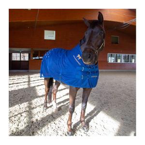 08500200-acupressure-mat-for-the-back-accuhorsemat-blue