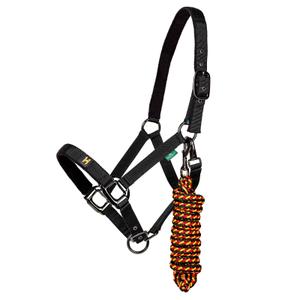 dhhx11-vrk0-co-halter-and-lead-rope-set-amigo-newmarket-witney-gold