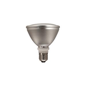 123009-terrarium-lighting-aquarium-systems-eco-halogen-white-100-w-220-v