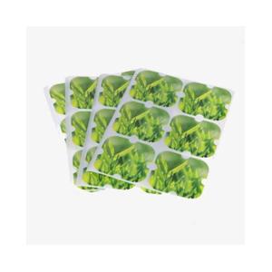 bio31006-anti-algae-stickers-bioponis-x24-green-one-size