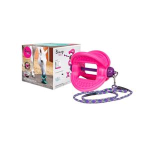 380080052-riding-toy-bizzy-horse-ball-fuchsia-one-size