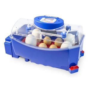 530300008-8-egg-automatic-incubator-borotto-lumia-blue-39x22x20-cm