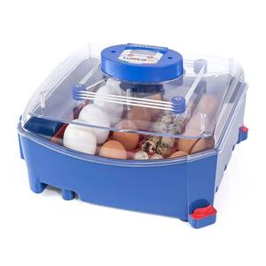 530300016-16-egg-automatic-incubator-borotto-lumia-blue-39x34x24-cm