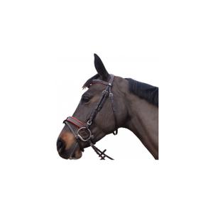 111130-noir-riding-bridles-canter-alme-black