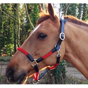 cal03br-leather-halter-and-rope-for-horse-cavaletti-tara-black-red-full