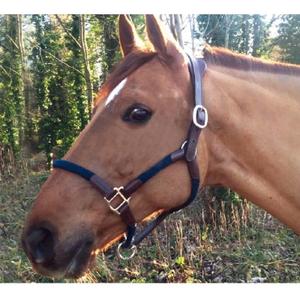 cal03om-leather-halter-and-rope-for-horse-cavaletti-tara-oak-marine-full