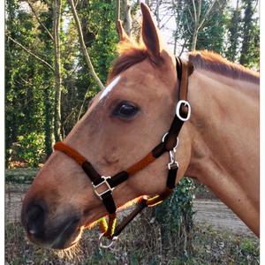 cal03oo-leather-halter-and-rope-for-horse-cavaletti-tara-oak-full