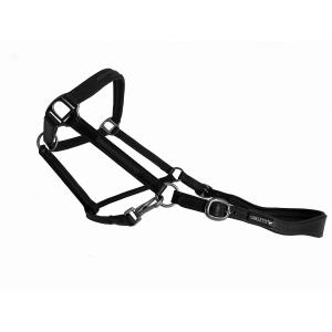 cal04o-leather-halter-with-crystal-insert-for-horses-cavaletti-tara-oak-full