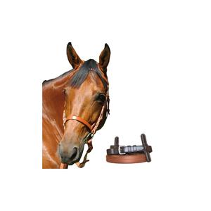 111108-newmarket-jawless-drive-flange-chetak-newmarket-cob