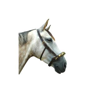 119400-noir-horse-cavesson-chetak-black-full