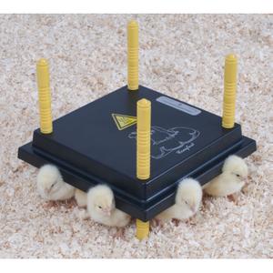 530005025-heating-panel-for-chicks-chick-a-blk-25x25-cm