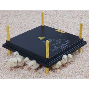 530005040-heating-panel-for-chicks-chick-a-black-40x40-cm