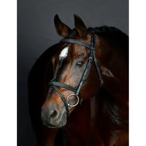 1025191001-padded-hanoverian-riding-bridle-collegiate-comfitec-opulux-fancy-stitch-black