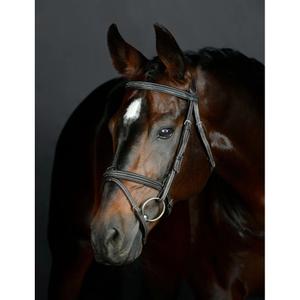 1025191005-padded-hanoverian-riding-bridle-collegiate-comfitec-opulux-fancy-stitch-dark-brown