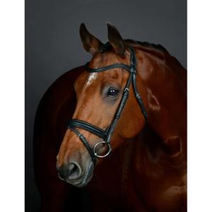 1025193001-padded-hanoverian-flash-bridle-collegiate-comfitec-opulux-black