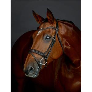 1025193005-padded-hanoverian-flash-bridle-collegiate-comfitec-opulux-dark-brown