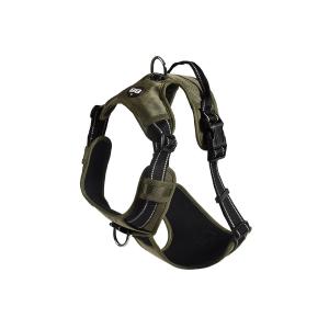 hrwalk-77-16-dog-harness-bobby-rando-walk-green-s