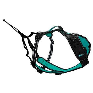 cy6031-dog-harness-cynnotek-symbioz-black-turquoise